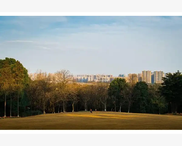 中医补气的奥秘：你知道吗？